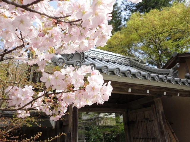 お寺のご紹介・お打ち合わせ
